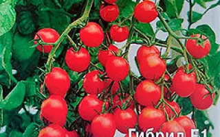 КОРОЛЕВА МАРГО