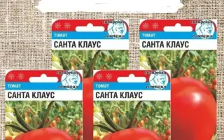 САНТА КЛАУС
