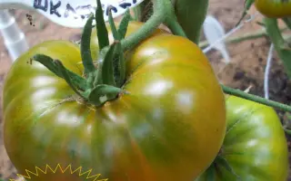 МАЛАХИТОВАЯ ШКАТУЛКА