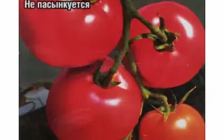 СНЕЖНАЯ СКАЗКА