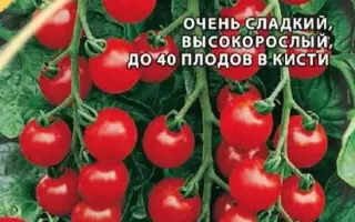 ВИШНЯ КРАСНАЯ