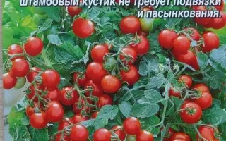 БАЛКОННОЕ ЧУДО