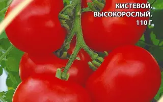 ИНТУИЦИЯ