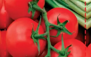 МОЯ РАДОСТЬ