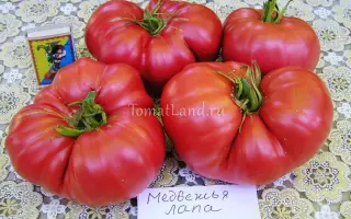 МЕДВЕЖЬЯ ЛАПА