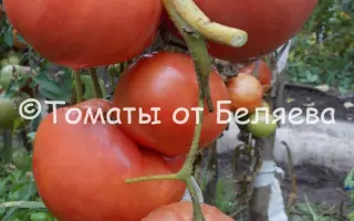 РУССКАЯ ДУША