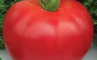 ШАПКА МОНОМАХА