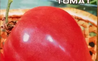 ОРЛИНЫЙ КЛЮВ