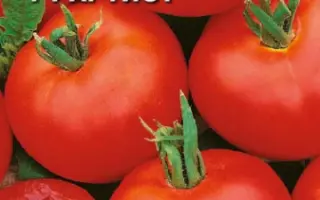 АРТИСТ