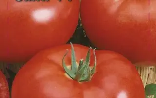 ЭМИР