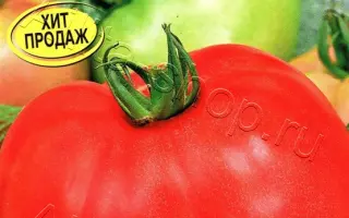 ЛАКОМКА