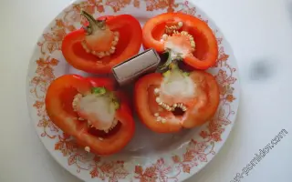ФАКИР