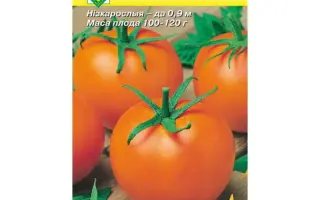 ЗОЛОТАЯ АНДРОМЕДА