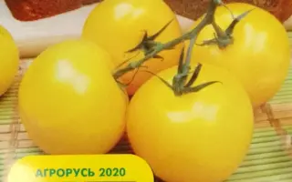 АНДРЕЙКА
