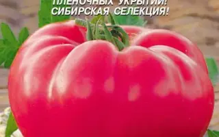 ВЕЛЬМОЖА