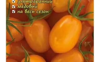 СЕВЕРНОЕ ЧУДО