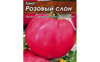 РОЗОВЫЙ СЛОН