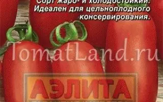 ЛЕЛЬ