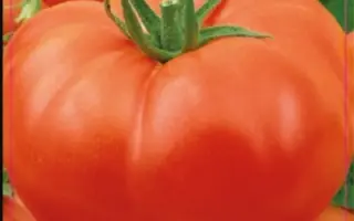 РАЙСКОЕ НАСЛАЖДЕНИЕ