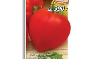 УТРЕННЯЯ РОСА