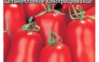 БУРАТИНО