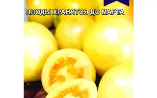 ЛОНГ КИПЕР
