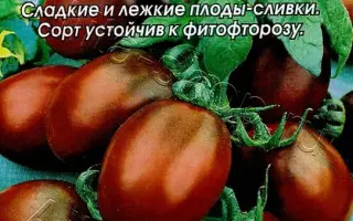 ДЕ БАРАО ЧЕРНЫЙ