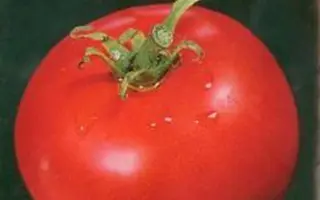 ЛАФАНЯ