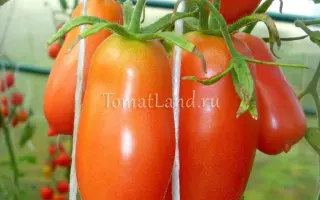 МОСКОВСКИЙ ДЕЛИКАТЕС