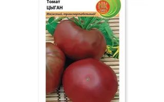 ЦЫГАН