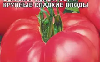 РОЗОВЫЙ ГИГАНТ