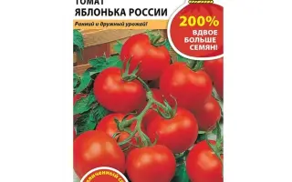 ЯБЛОНЬКА РОССИИ