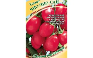 ЧИО-ЧИО-САН