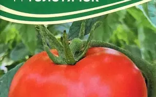 ТОЛСТЯЧОК