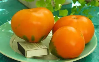 ЛАМПА АЛАДДИНА