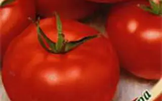 ФАТАЛИСТ