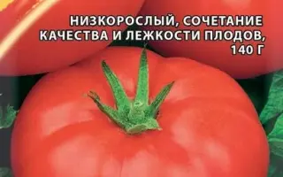 ЛЯЛЯФА