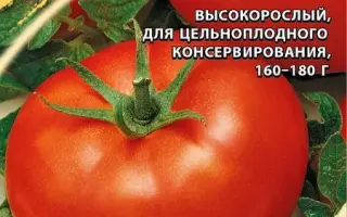 ФАРАОН