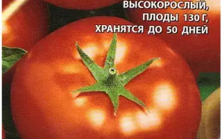 ВЛАДИМИР