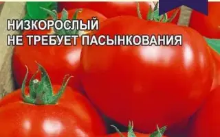 ПОЛЮС