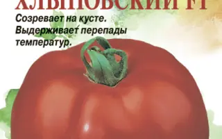 ХЛЫНОВСКИЙ