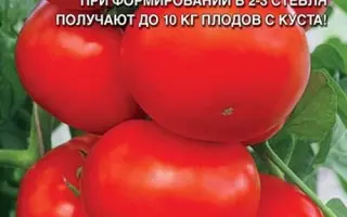 ОГОРОДНИК