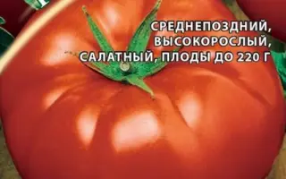 БИТЮГ