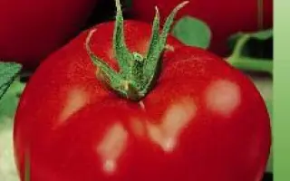 АДМИРАЛТЕЙСКИЙ