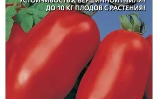 КАСКАДЕР