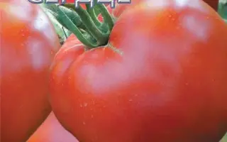 ЛЬВИНОЕ СЕРДЦЕ