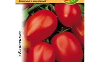 ПОБЕДИТЕЛЬ