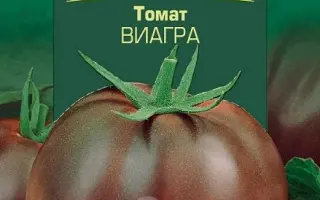 ЮБИЛЕЙНЫЙ ВИР