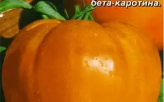 ЗОЛОТОЕ СЕРДЦЕ