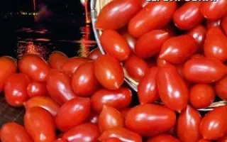 ПРАЗДНИЧНЫЙ